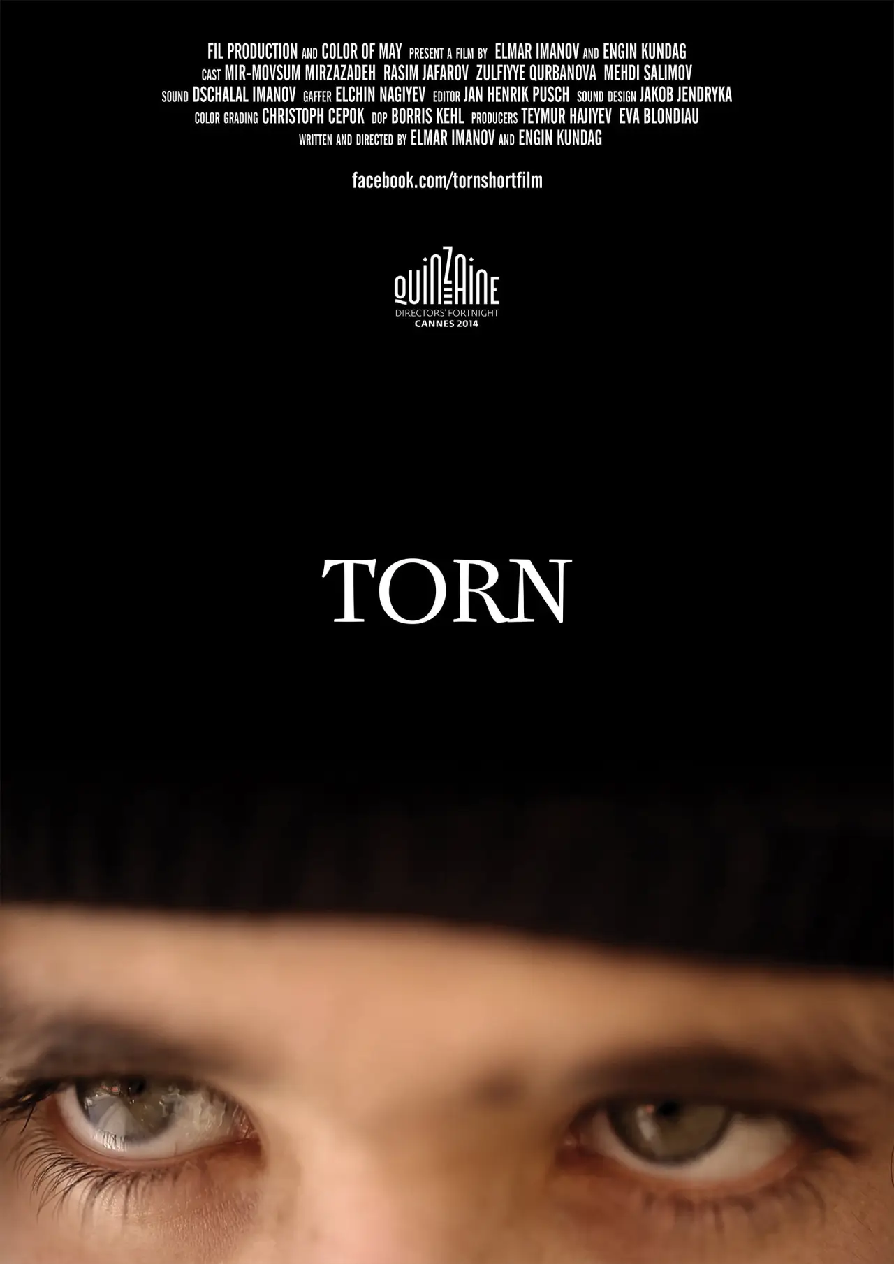 Постер до фільму "Torn"