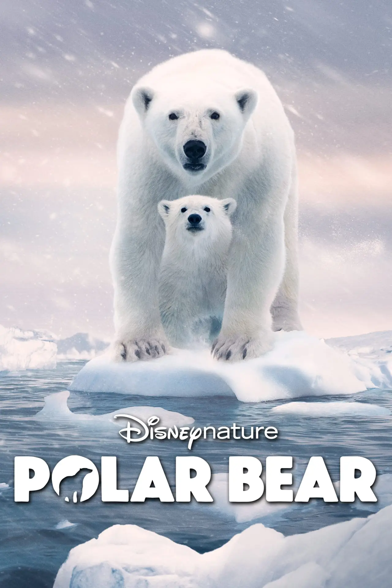 Постер до фільму "Polar Bear"