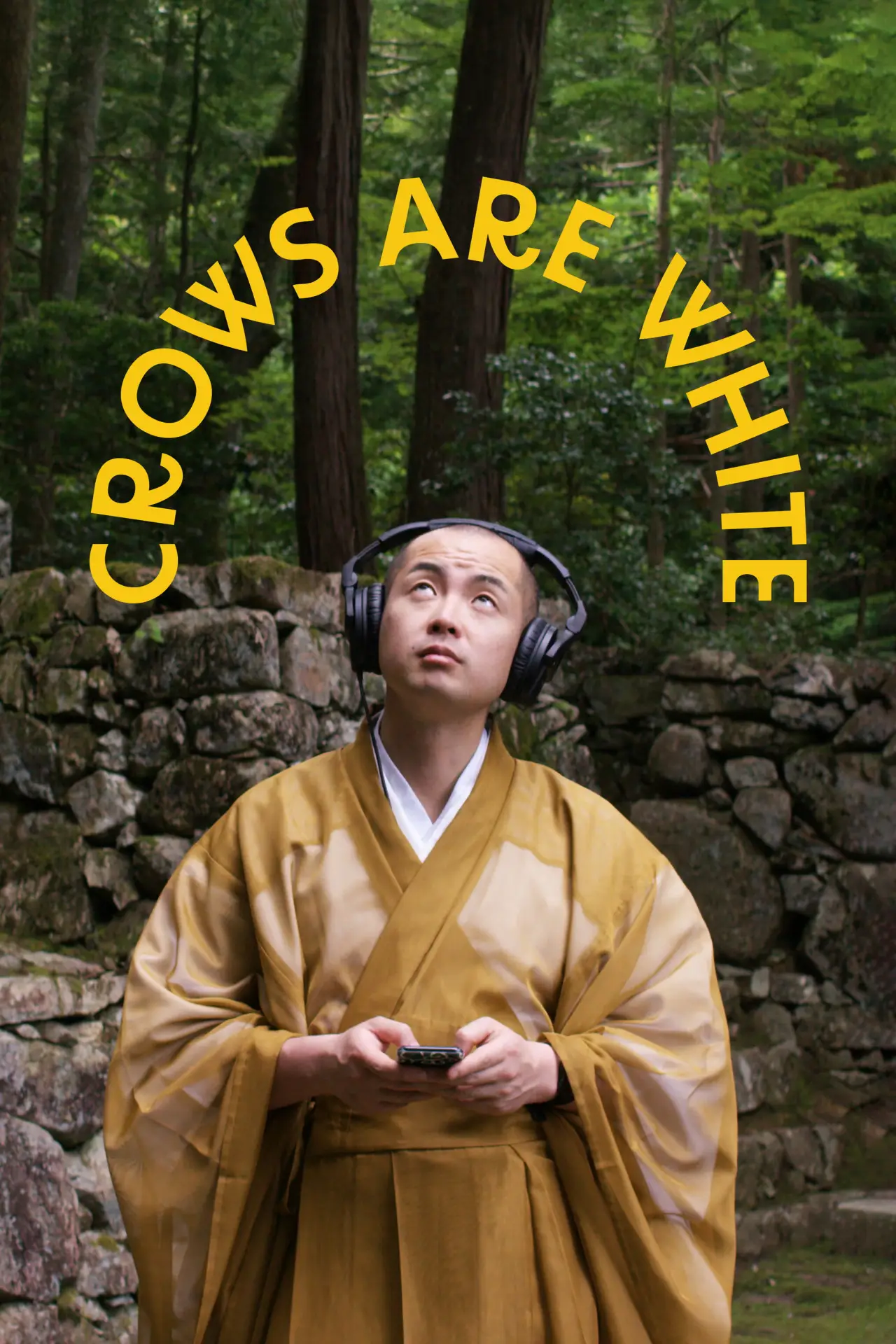 Постер до фільму "Crows Are White"