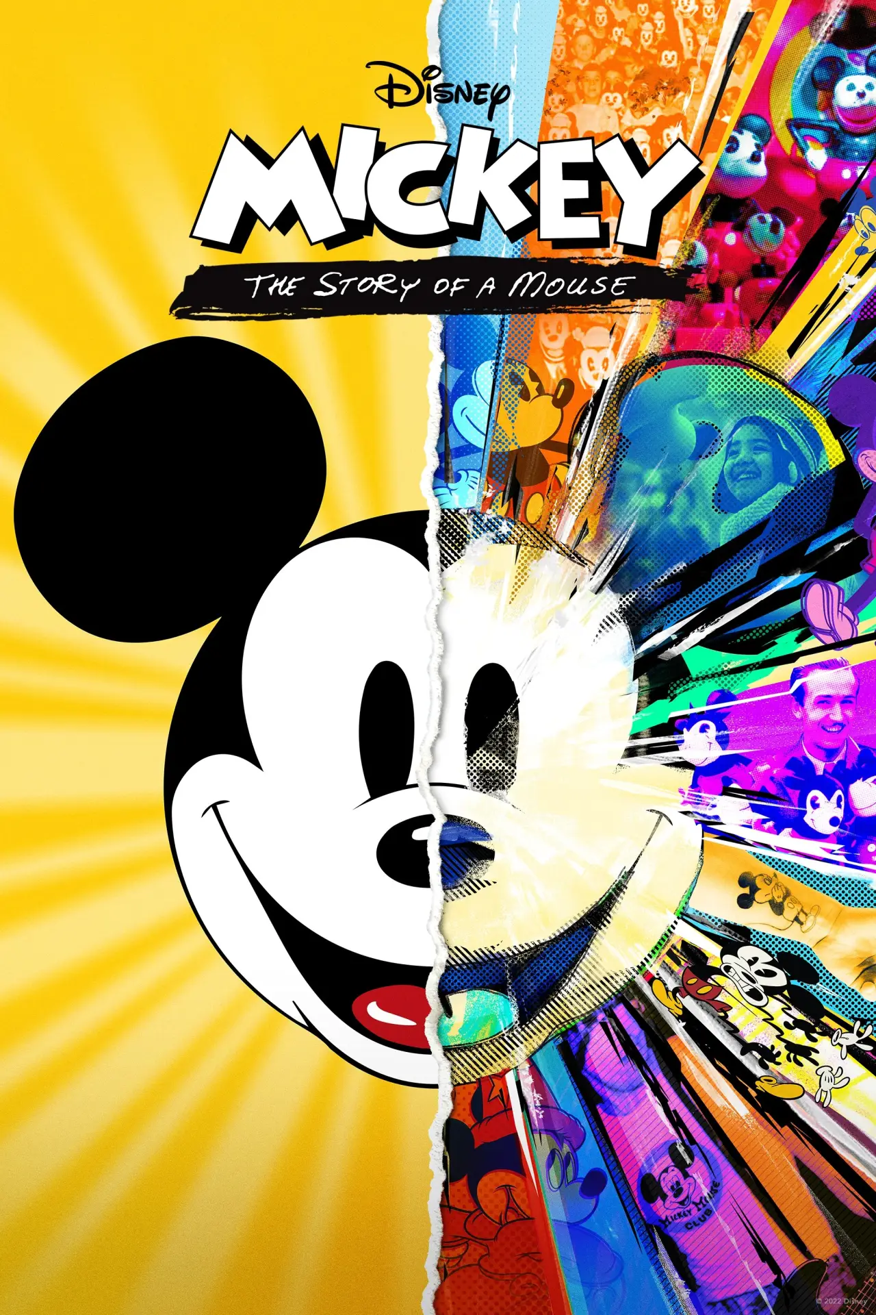 Постер до фільму "Mickey: The Story of a Mouse"