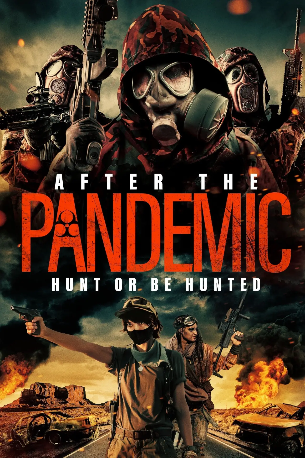 Постер до фільму "After the Pandemic"