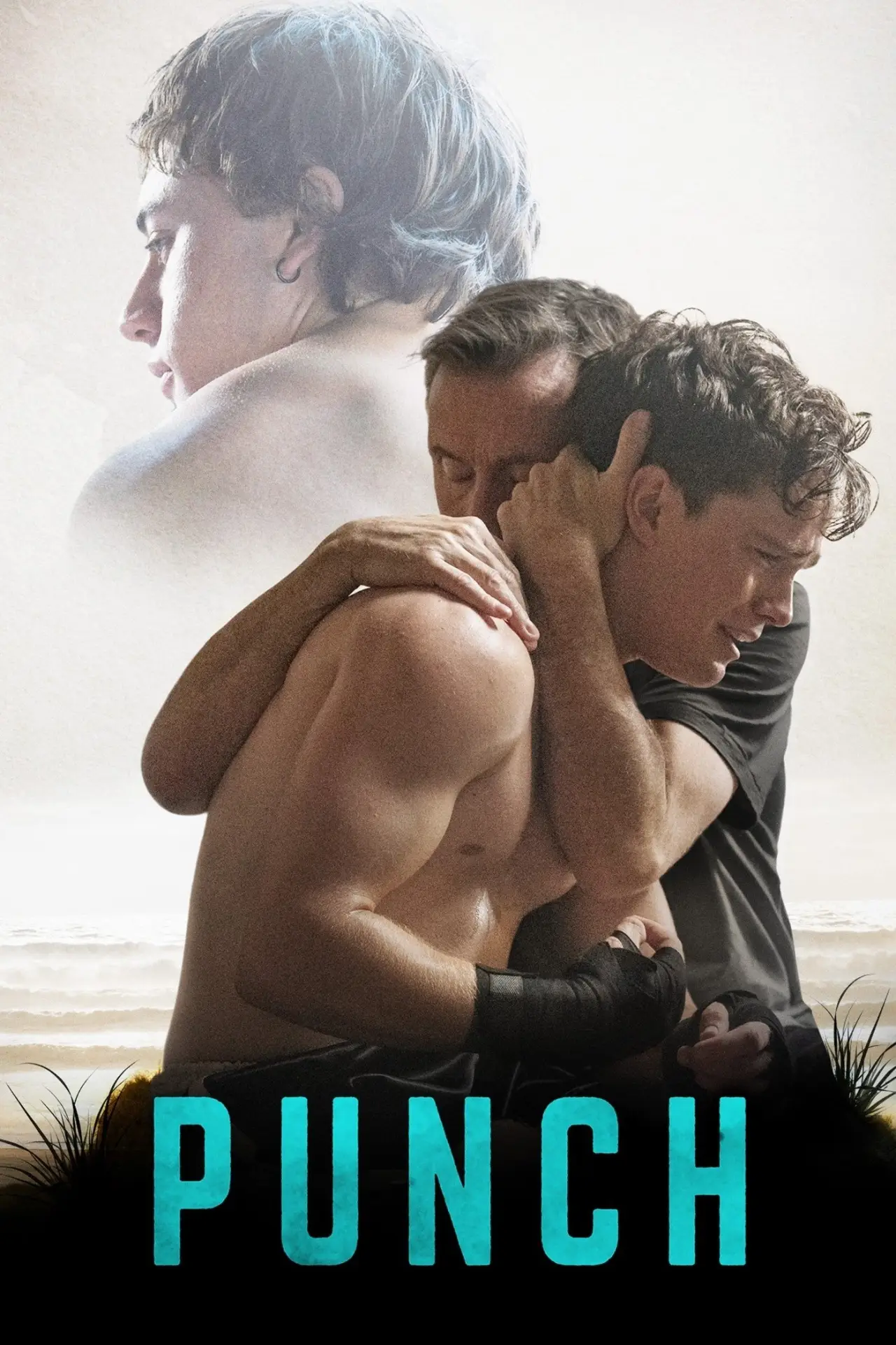 Постер до фільму "Punch"