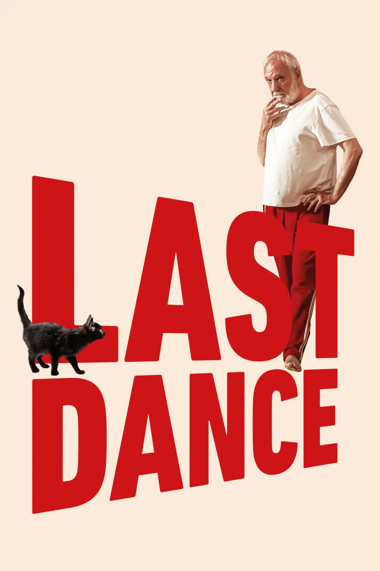 Постер до фільму "Last Dance"