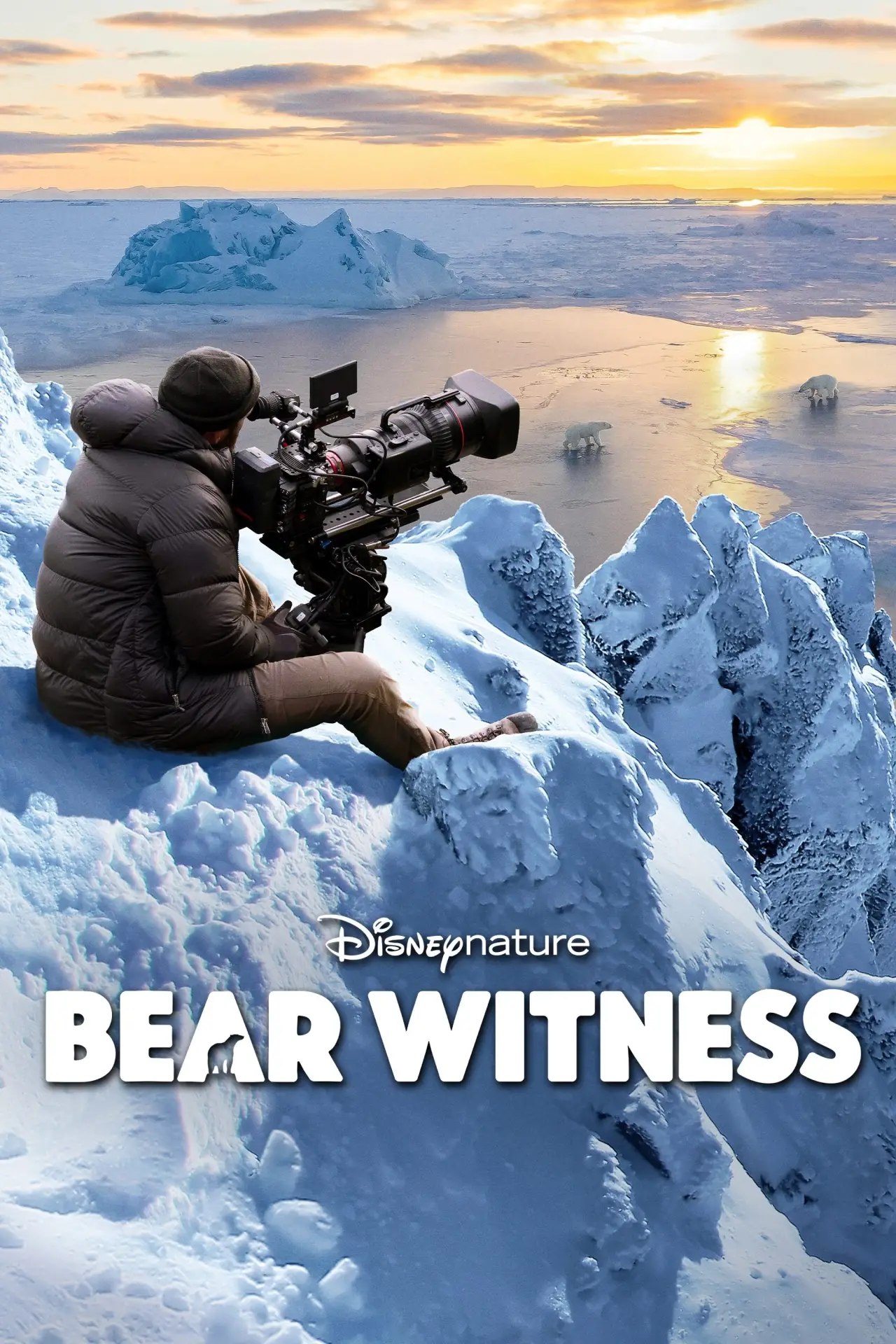 Постер до фільму "Bear Witness"