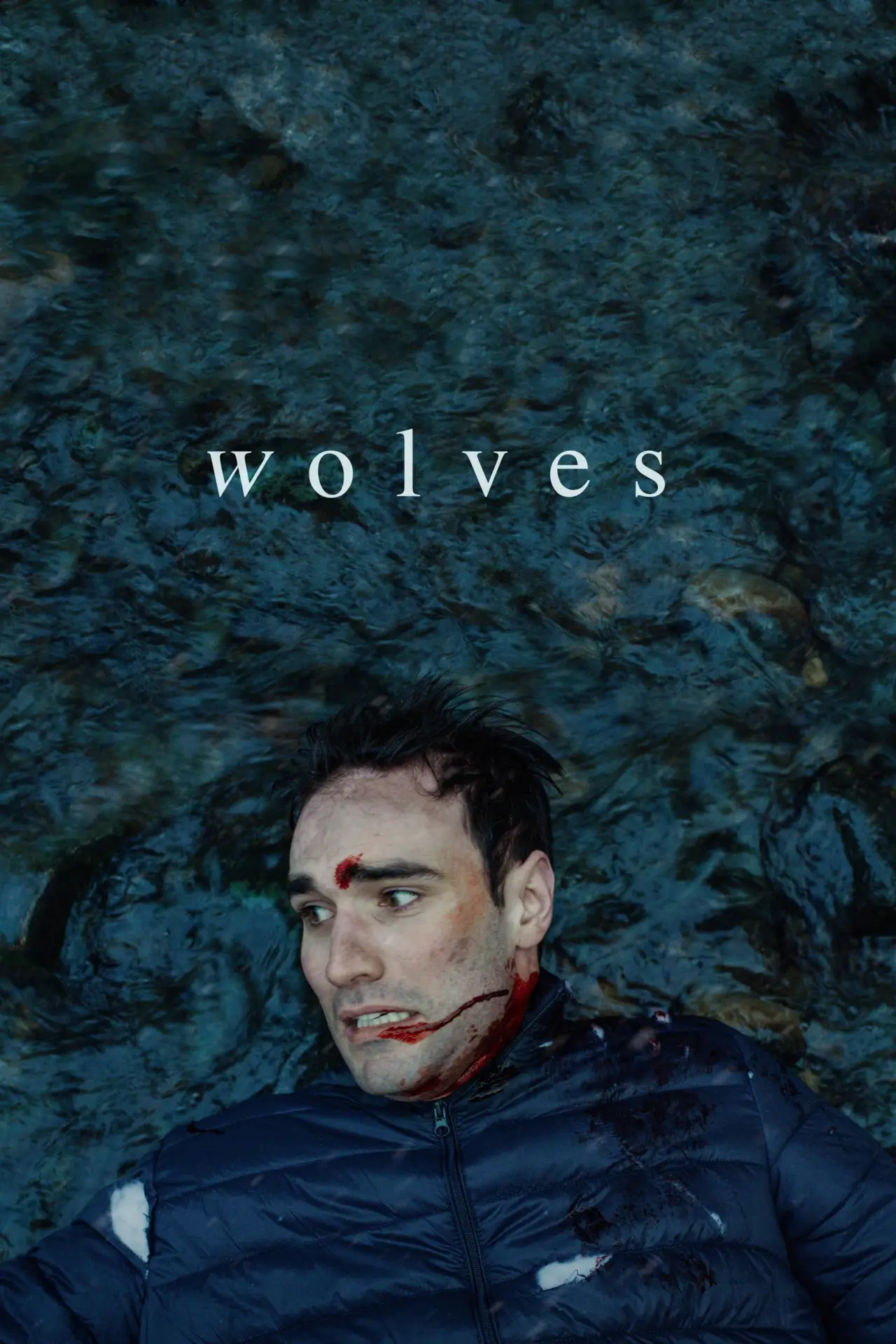 Постер до фільму "Wolves"