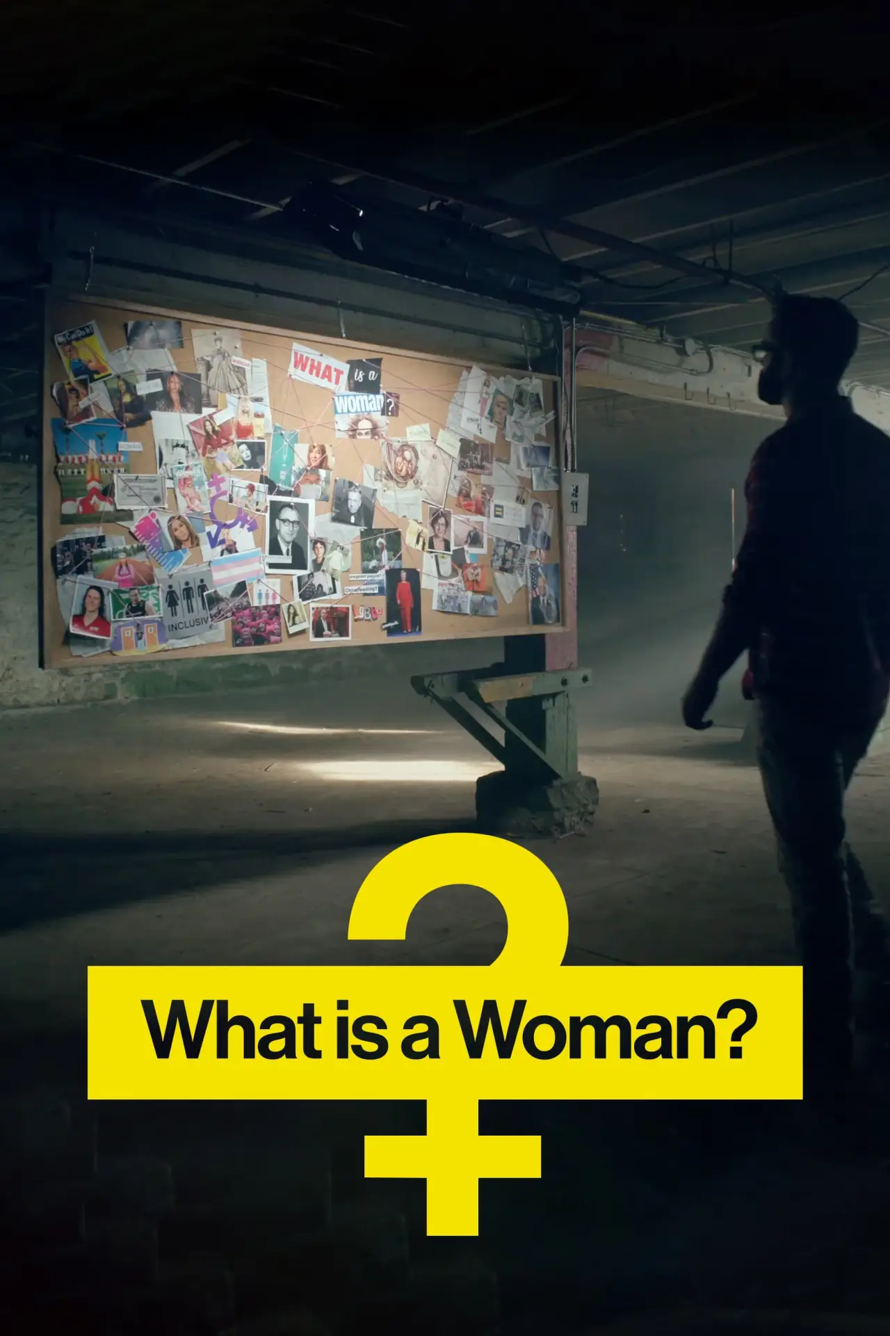 Постер до фільму "What Is a Woman?"
