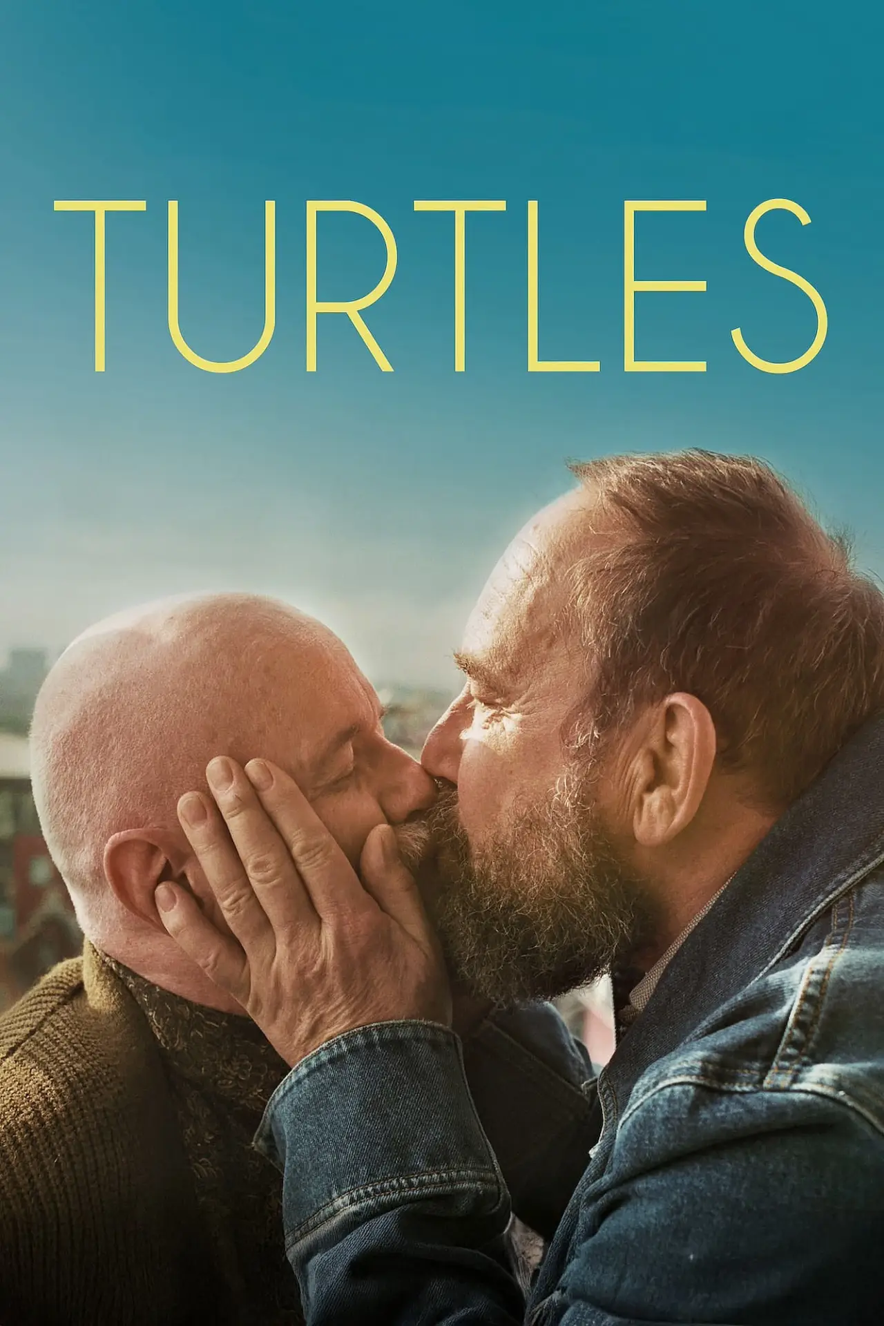 Постер до фільму "Les tortues"