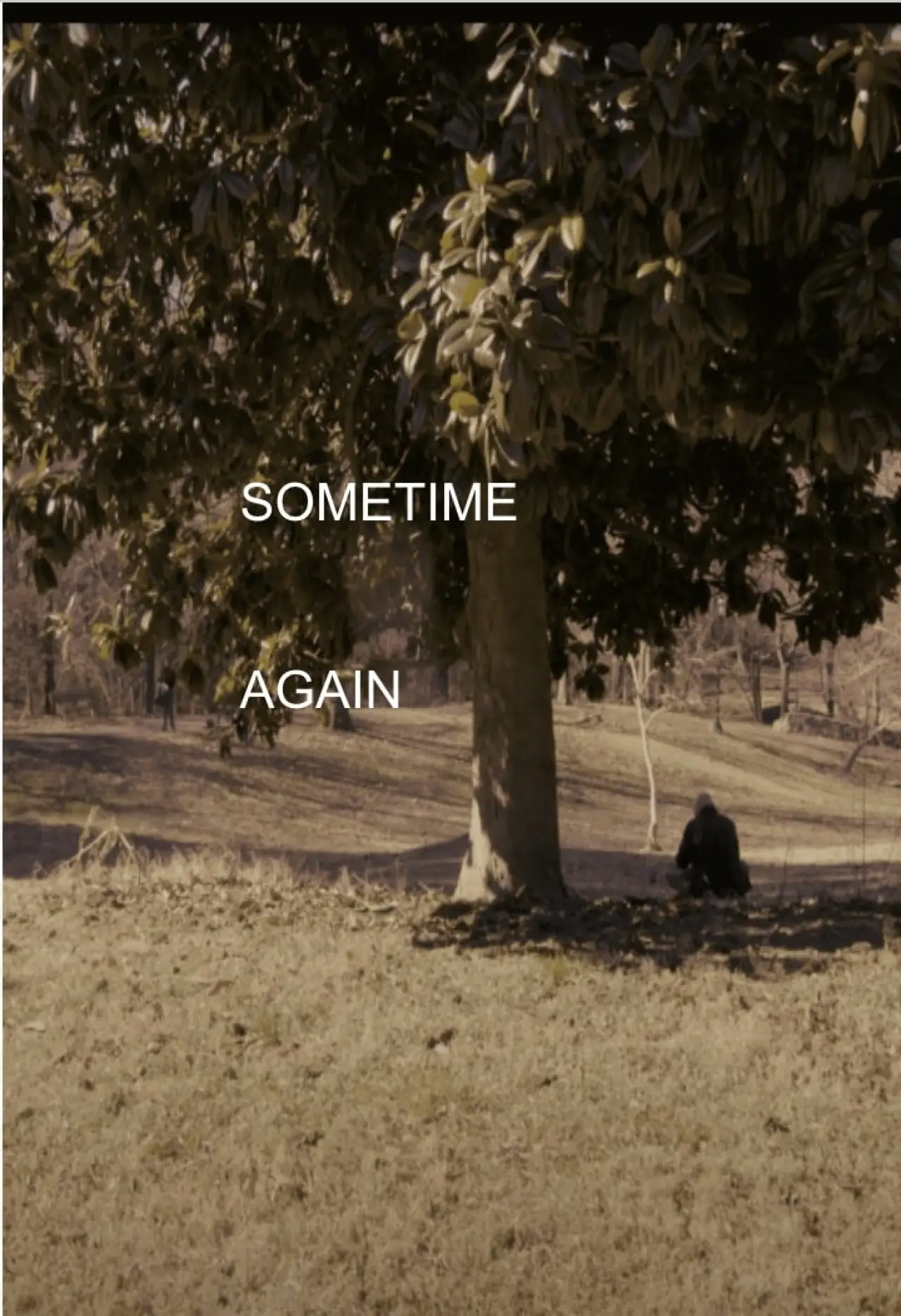 Постер до фільму "Sometime Again"