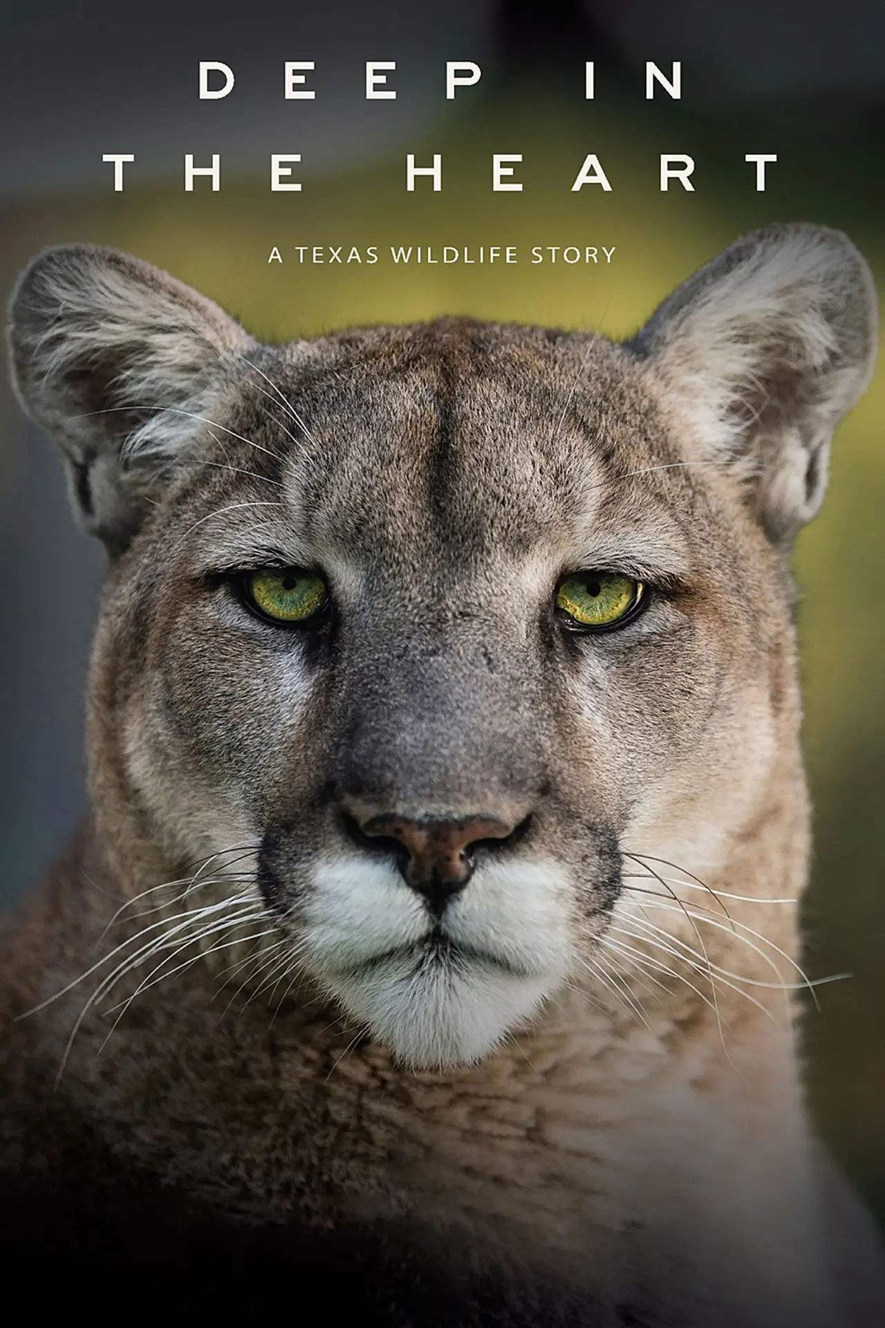 Постер до фільму "Deep in the Heart: A Texas Wildlife Story"