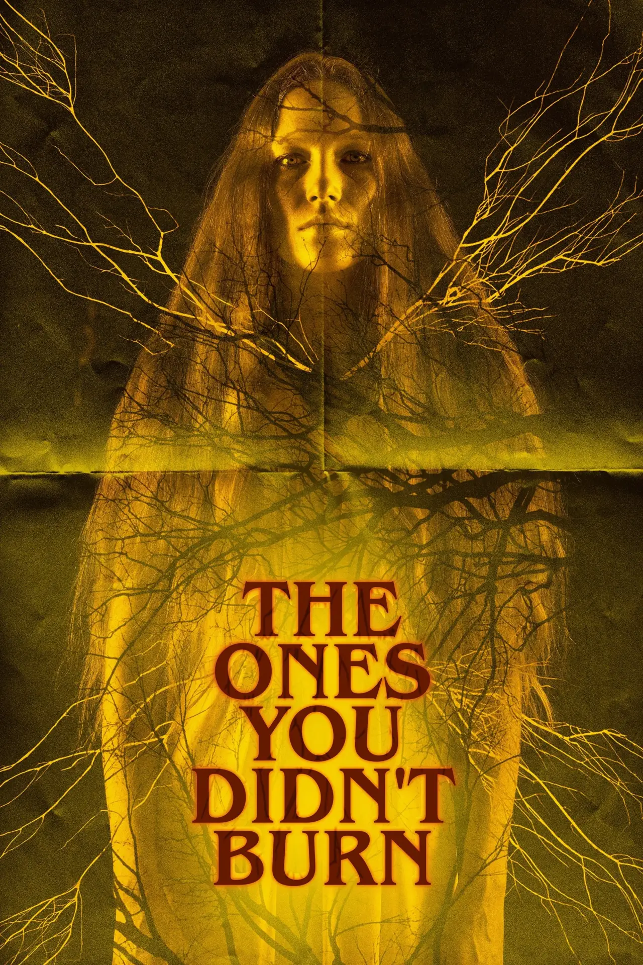 Постер до фільму "The Ones You Didn’t Burn"