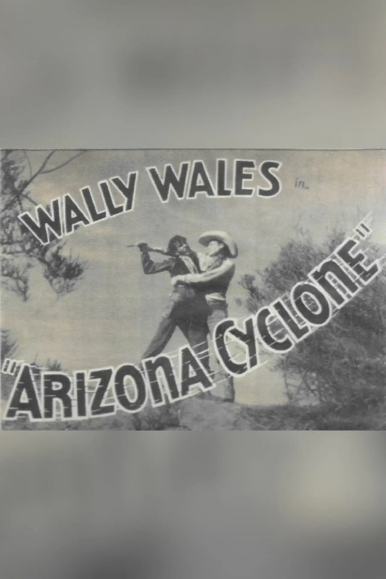Постер до фільму "Arizona Cyclone"