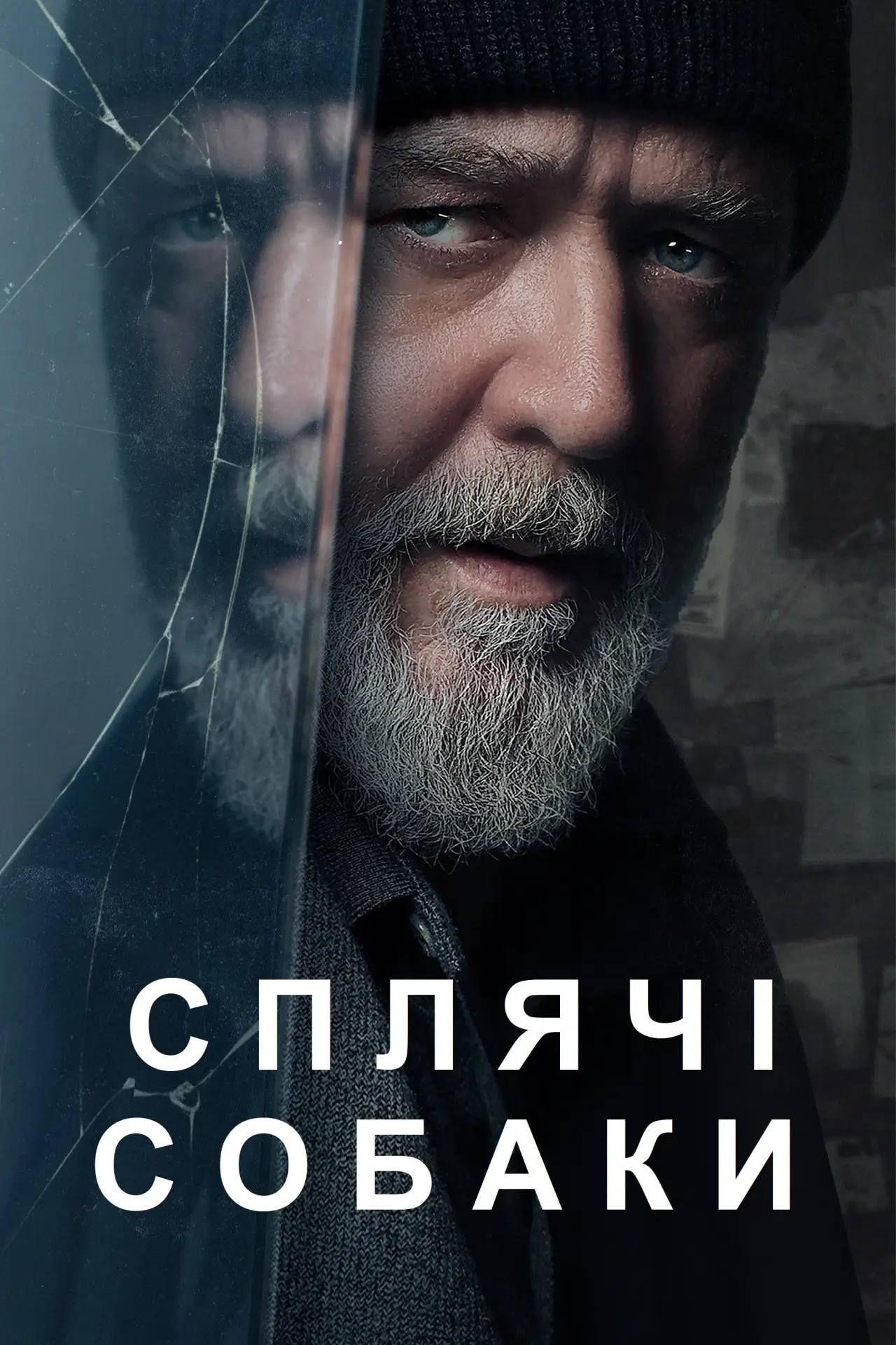 Постер до фільму "Сплячі собаки"