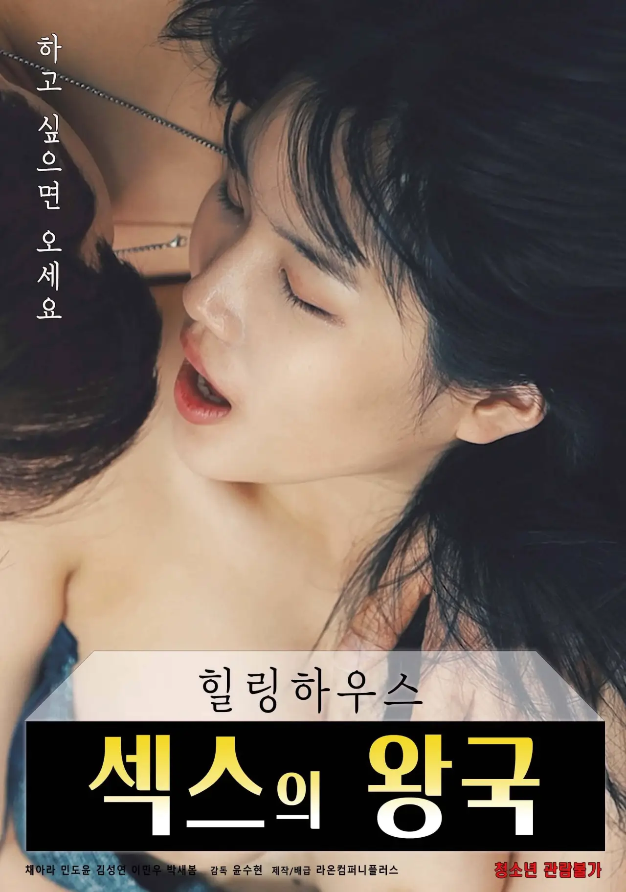 Постер до фільму "힐링하우스 : 섹스의 왕국"