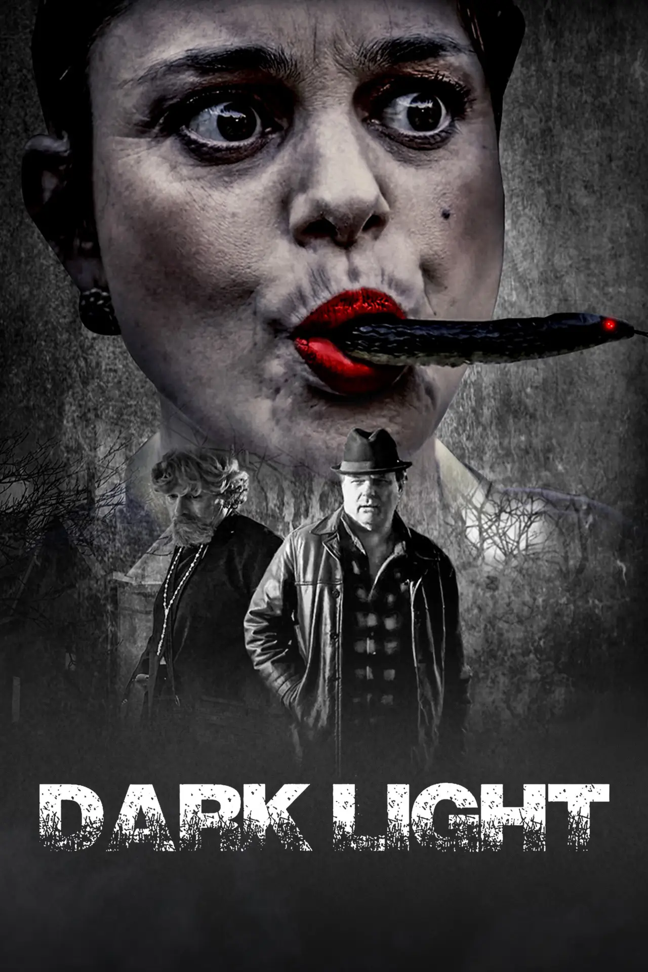 Постер до фільму "Dark Light"