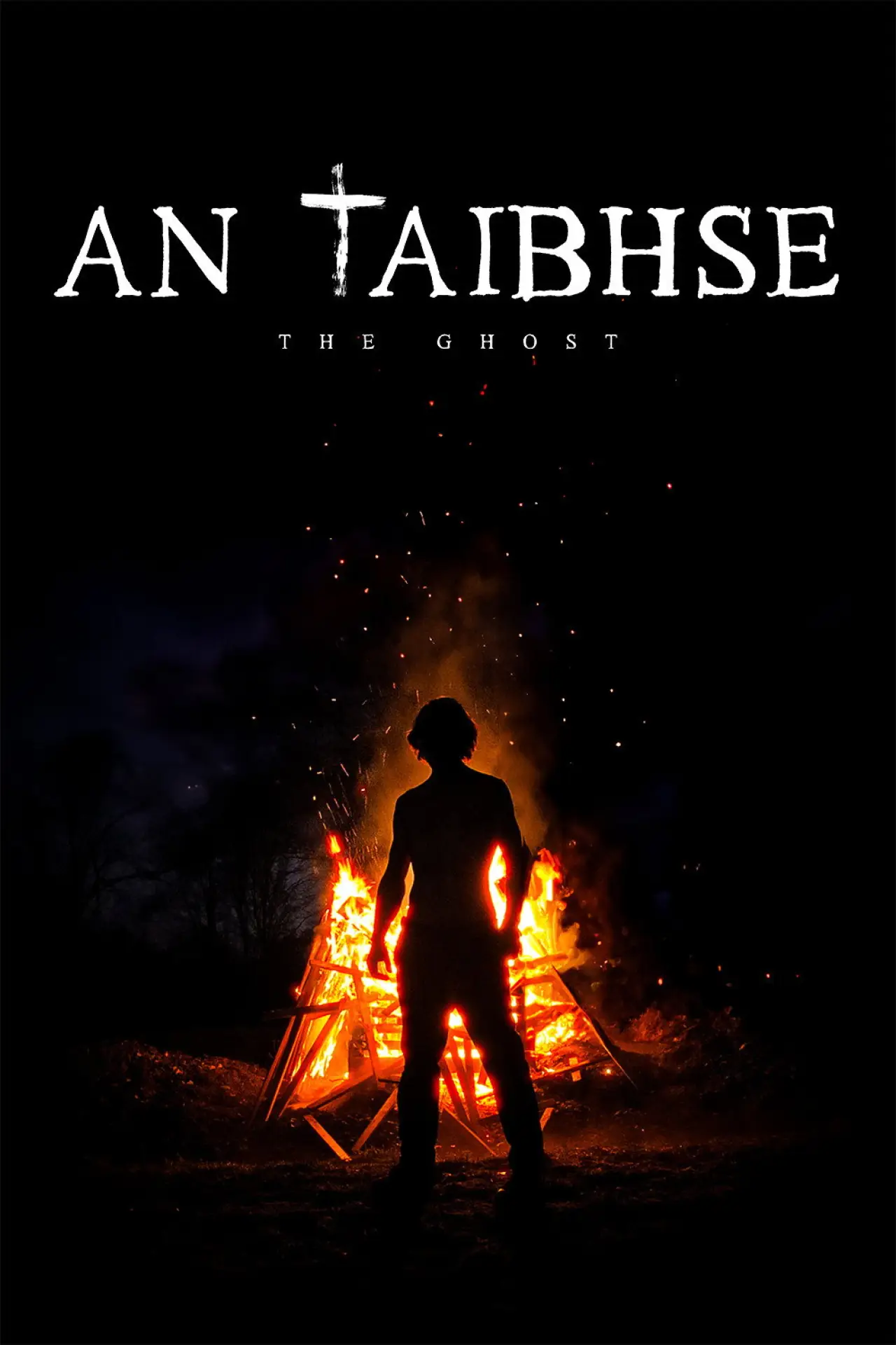 Постер до фільму "An Taibhse"