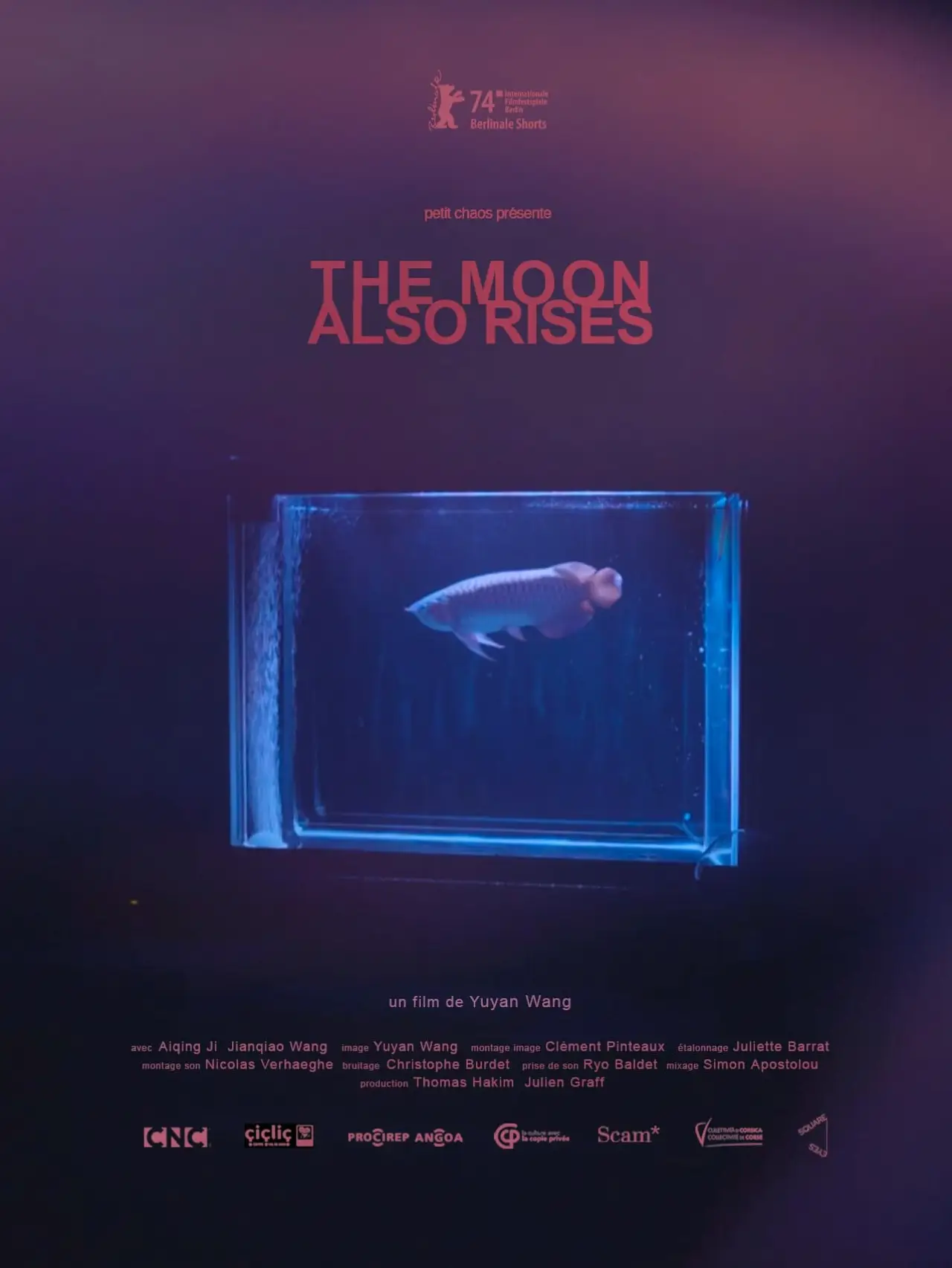 Постер до фільму "The Moon Also Rises"