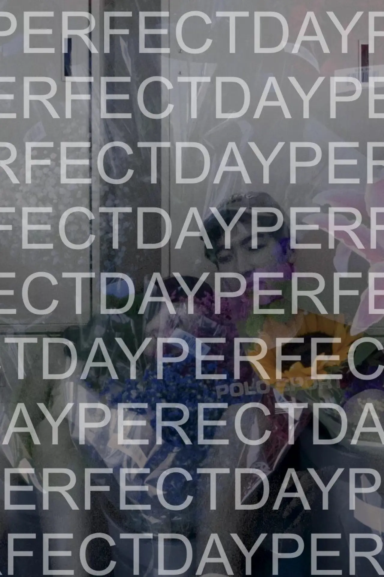 Постер до фільму "Perfect Day"