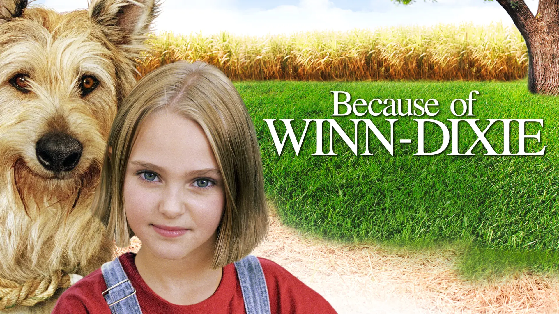 Відео до фільму Because of Winn-Dixie — Because Of Winn Dixie Trailer HD
