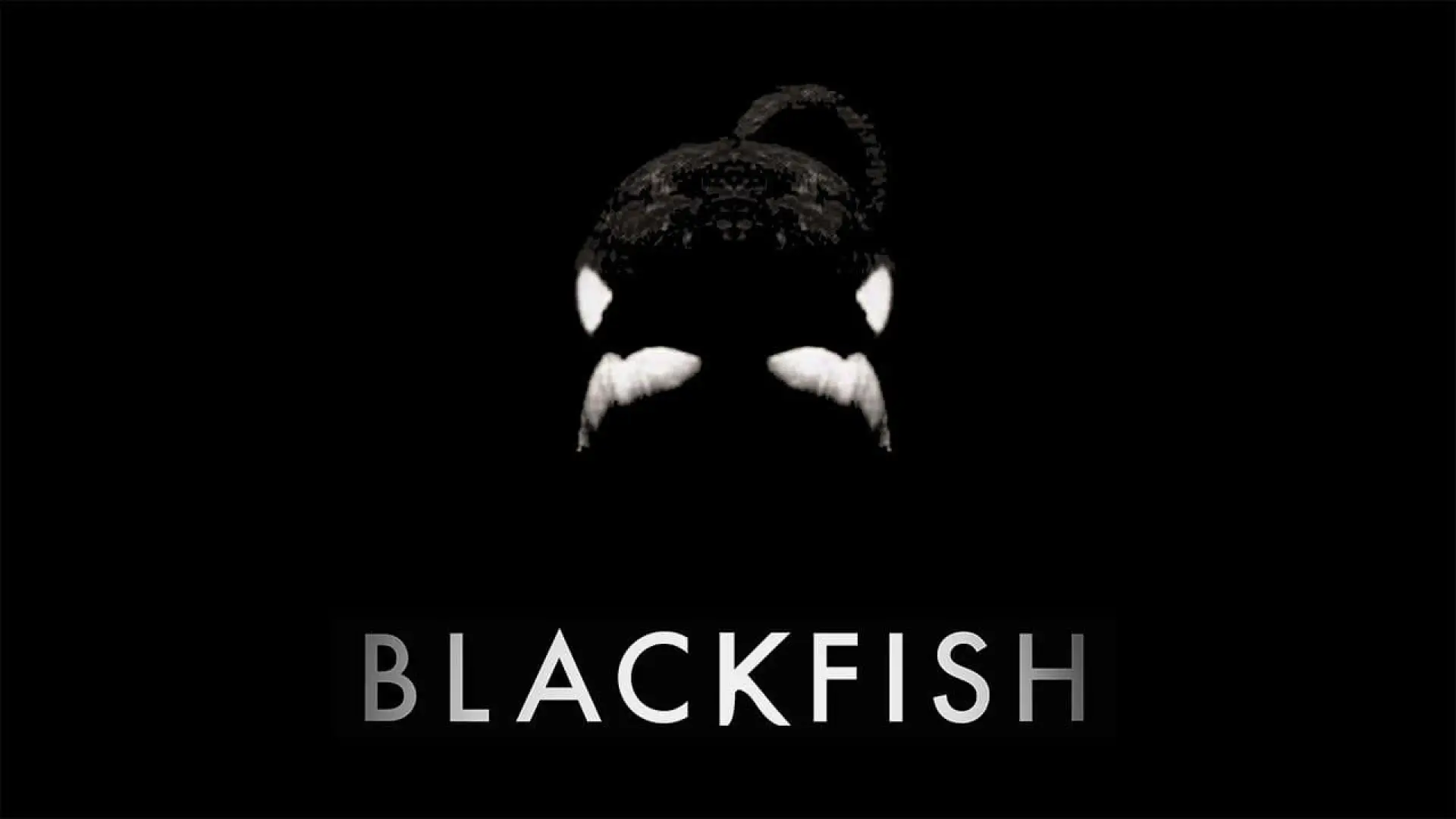 Відео до фільму Кит-убивця — Blackfish - Official Trailer