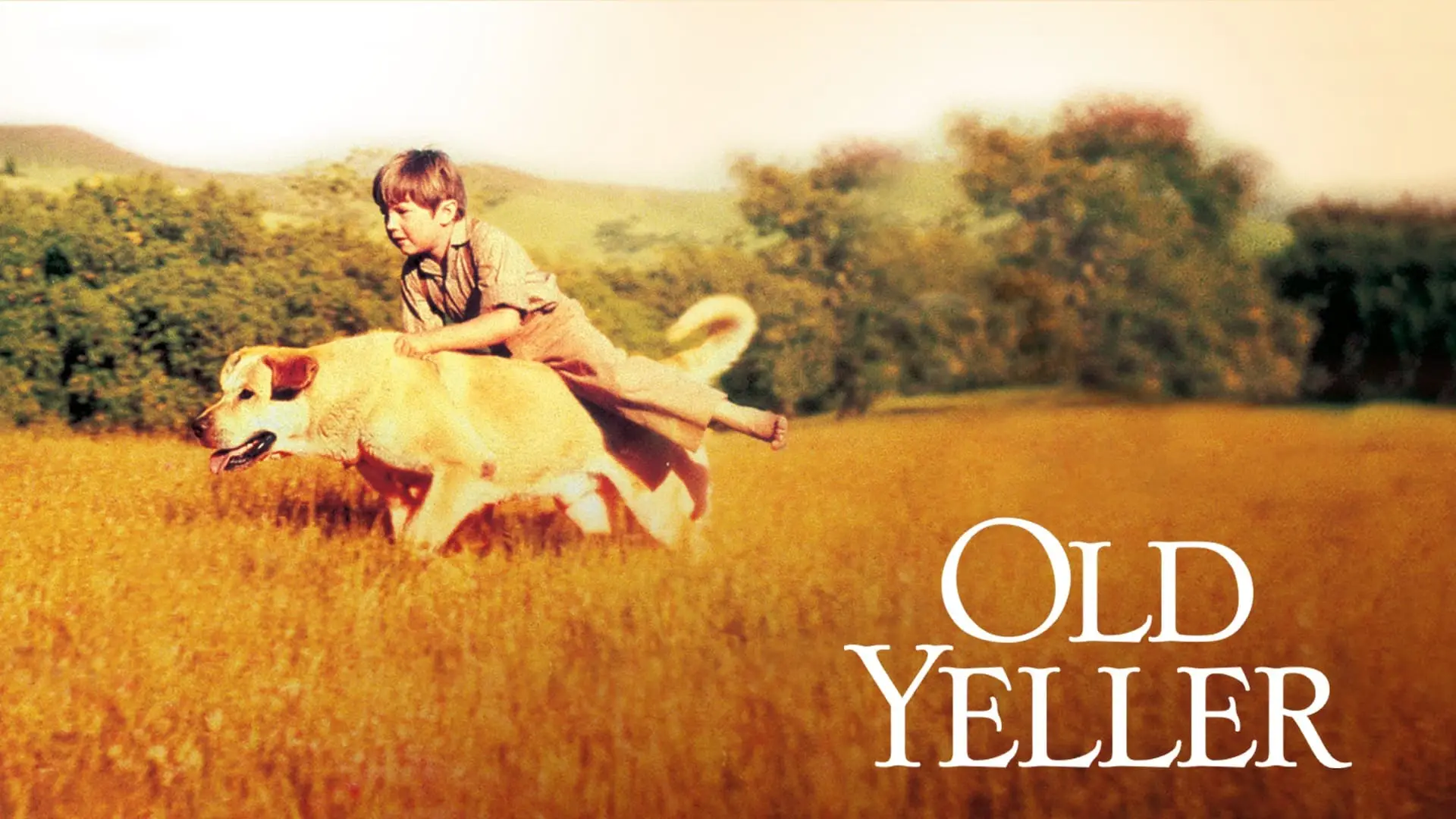 Відео до фільму Old Yeller — OLD YELLER 40th ANNIVERSARY MOVIE TRAILER [VHS] 1997