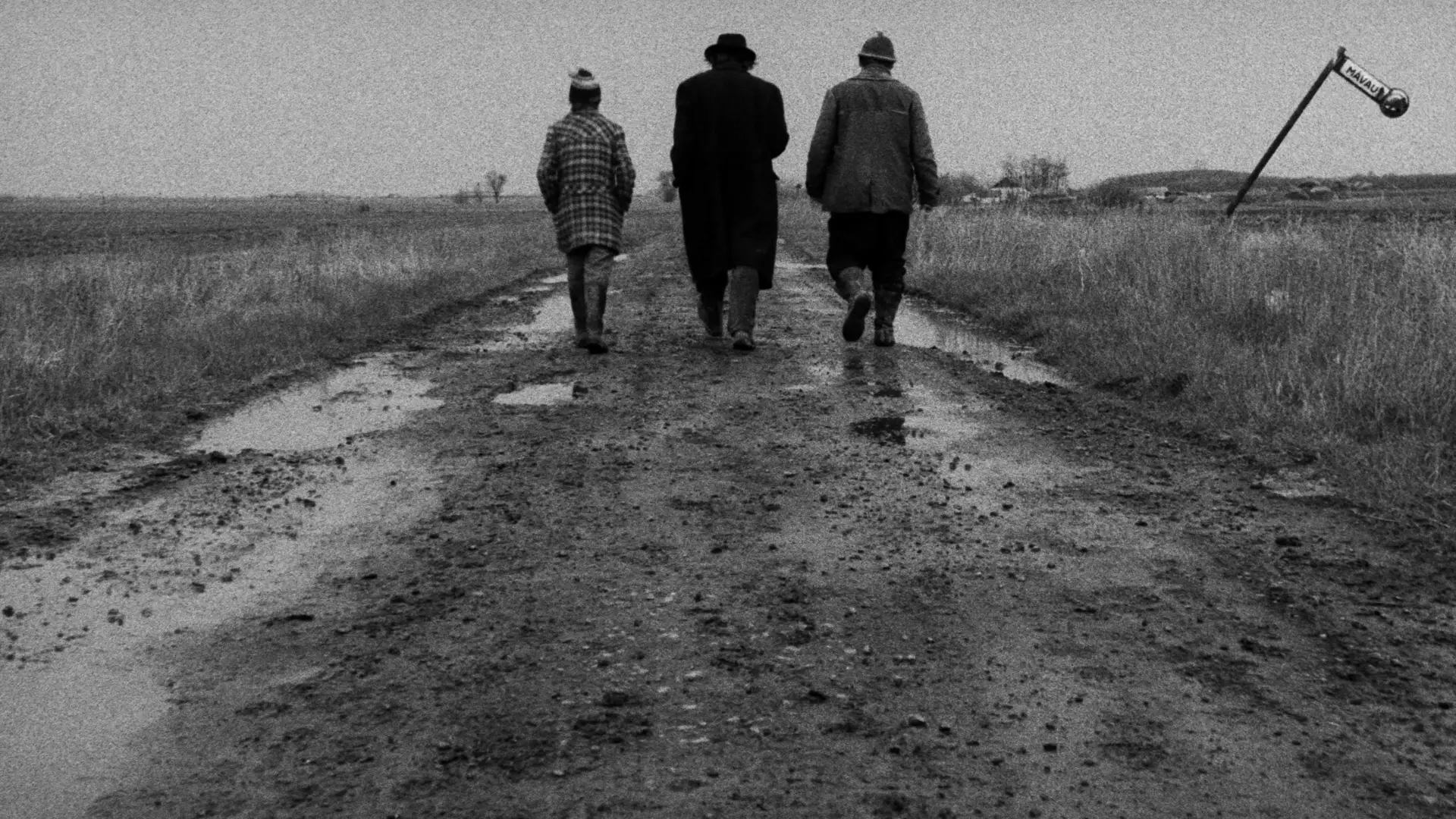 Відео до фільму Сатантанго — SÁTÁNTANGÓ Trailer [1994] 4K