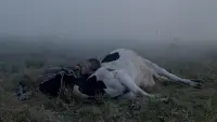 Задник до фильму"Йди та дивись" #174957