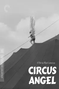 Circus Angel