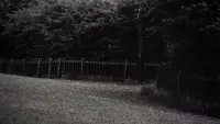 Задник до фильму"Фотозбільшення" #744565