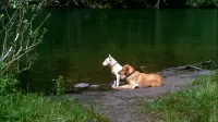 Задник до фильму"" #770986