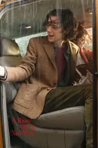 Постер до фильму"Дощовий день в Нью-Йорку" #1025254