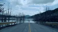 Задник до фильму"" #695281