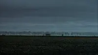 Задник до фильму"Капоте" #808938