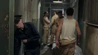 Задник до фильму"Втеча з в