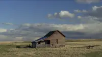 Задник до фильму"Мій власний штат Айдахо" #808509