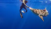 Задник до фильму"" #849992