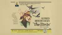 Задник до фильму"Птахи" #937847