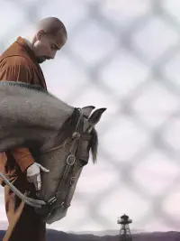 Постер до фильму"Мустанг" #881079