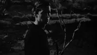 Задник до фильму"Психо" #833451