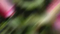 Задник до фильму"" #690325