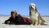 Задник до фильму"Хлопець і його собака" #811015