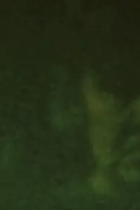 Постер до фильму"Пісня 29" #1044225