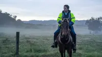 Задник до фильму"" #541362
