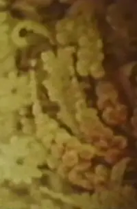 Постер до фильму"Пісня 6" #1047416