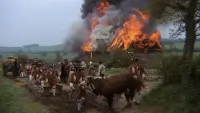 Задник до фильму"Баррі Ліндон" #819250