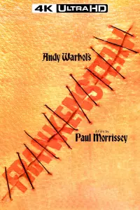 Постер до фильму"Плоть Франкенштейна" #1108581