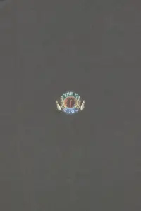 Постер до фильму"Великий Лебовскі" #919279