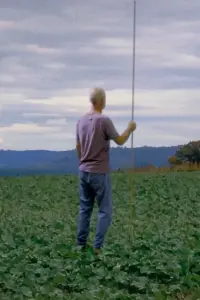 Постер до фильму"" #525613