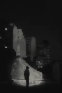 The Night is Fading Away