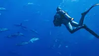 Задник до фильму"" #869763