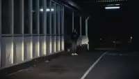 Задник до фильму"" #752986